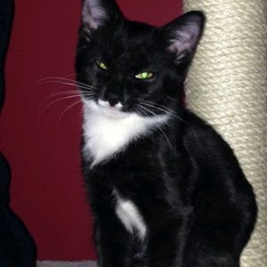 Meet your Posher, Theresa